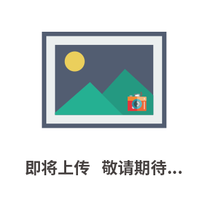 OHO Holland GmbH 主軸浮動內(nèi)置軸承